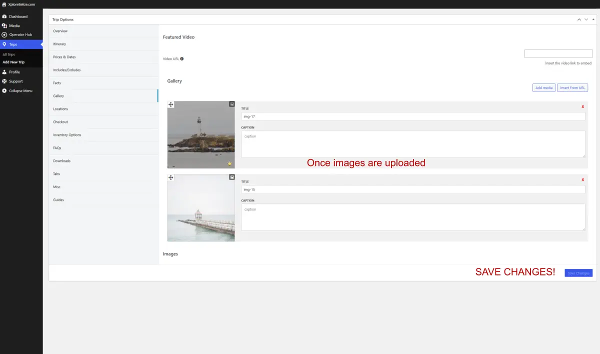 gallery-images