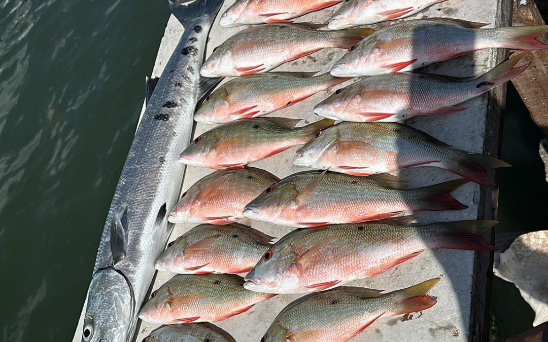 Deep Sea Fishing Adventure – Full Day